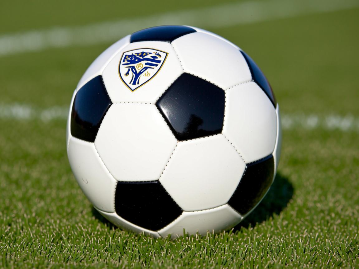 od体育app官网-国家女篮亚洲杯夺冠推动女子篮球发展,亚洲女子篮球杯战绩 第3张